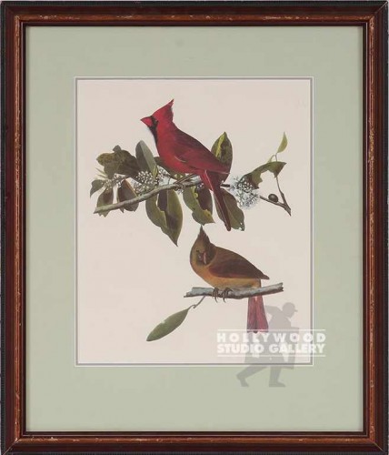 17X14 AUDUBON CARDINAL-BIRD PRNT/WD