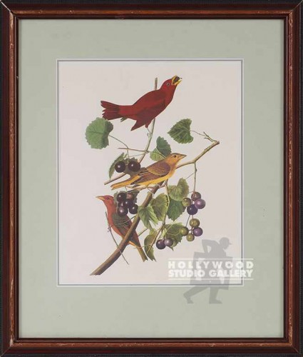 17X14 AUDUBON SUMR.TANAGER-BIRD/WD