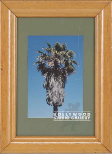 11x8 JACOBS PALM TREE PHOTO