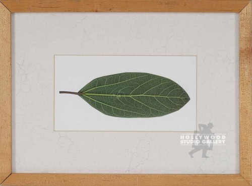 11X15 "ONE LEAF" BLONDE FRAME