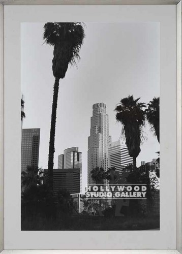 34X24 FOWLER B/W ARCHI/PALMS