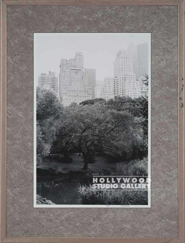 35x25 B/W Fowler Cntrl Park/Pht/CIA