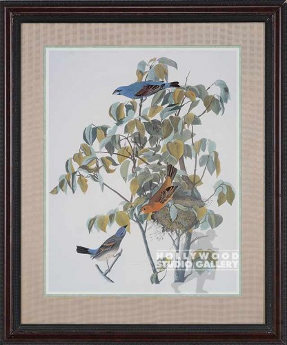 34x28 Blue Birds/Ornate