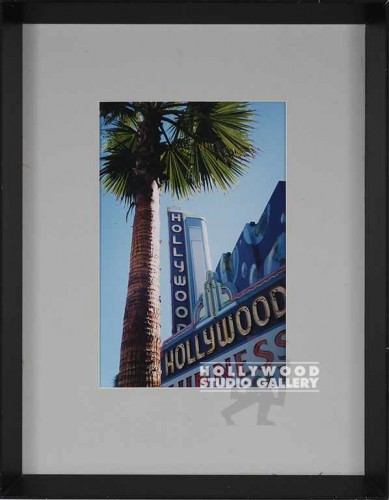 20X15 FOWLER H`WOOD NEON/PALM PHOTO