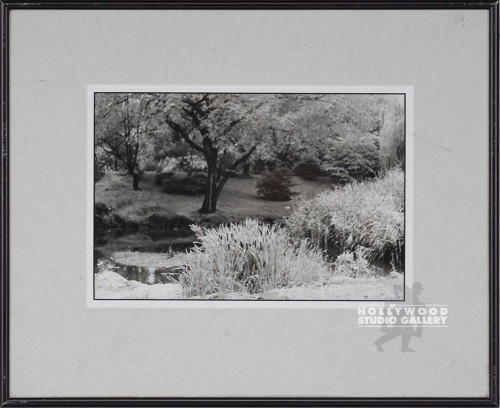 15x18 B/W Fowler Tree Scape/MattCIA