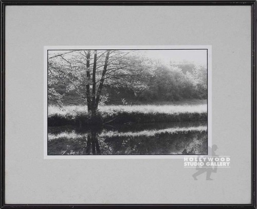 15x18 B/W Fowler Tree Scape/MattCIA