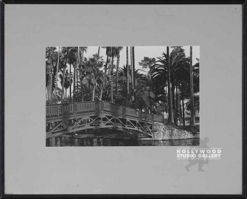 15x19 Fowler B/W Palms/Bridge   CIA