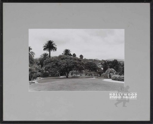 15x19 Fowler B/W Palms/Park     CIA