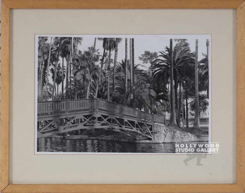 14x18 FOWLER BXW PALM TREE PHOTO/WD