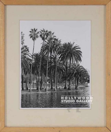 16x14 FOWLER BXW PALM TREE PHOTO/WD