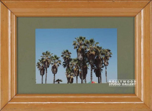 8x11 JACOBS PALM TREE PHOTO/LT WD