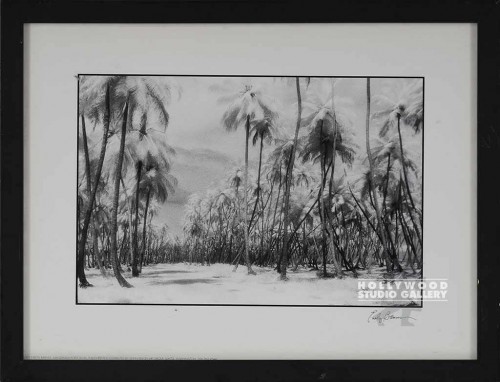 14X17BARNES/ B/W MANZANILLA P. ROAD