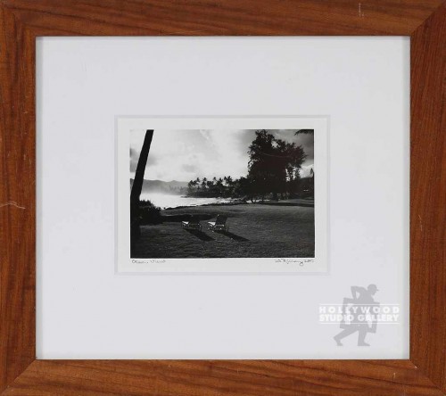 14X15 RICHARZ B/W OCEAN VIEW/ BROWN