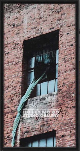 10X5 NIKKI CURTAIN ESCAPE-WINDOW