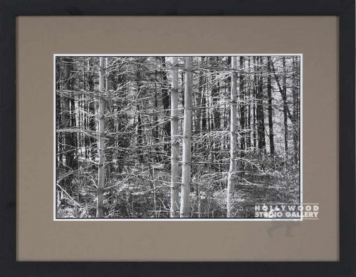 20X26 FOWLER B/W PA. TREES/ BLK FRM