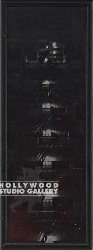 10X4 NIKKI DARK FIRE ESCAPE PHOTO