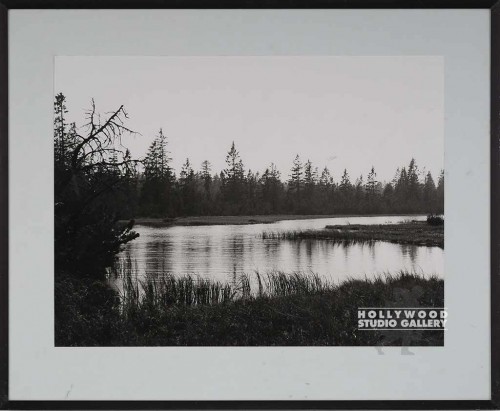 25X31 RF B/W LAKE W/ TREES PHOTO