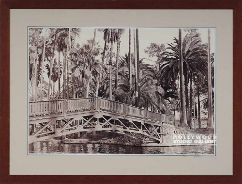 31x41 Fowler Sepia Palm Tree Photo