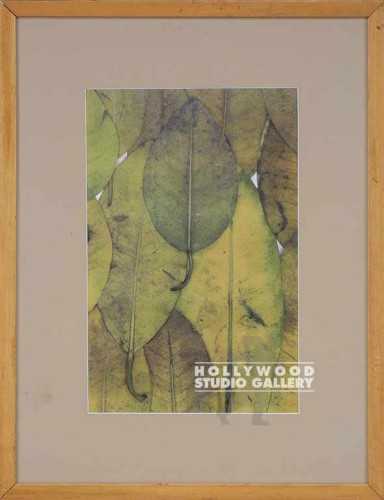 17x22 JJ/Yellow Leaves/Matted