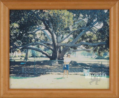 WBW 10X12 BABY & DAD/BIG TREE    11