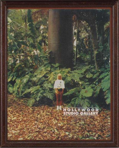 WGW 8x10 Summer Next To Lrg Tree 1