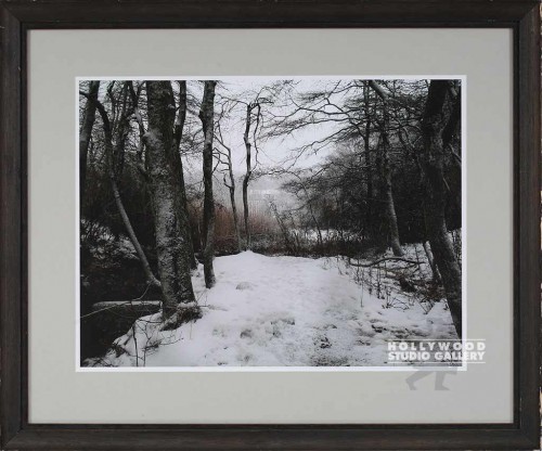 24X28 FRANKEL SNOW- TREES/BRN WD