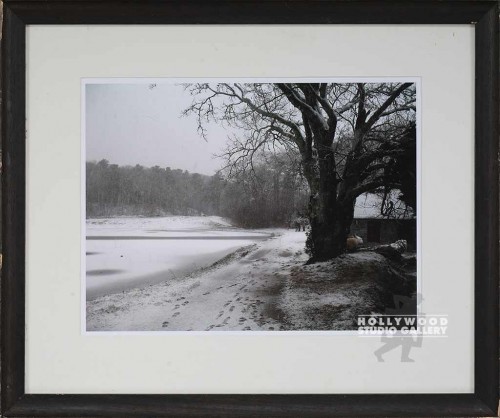 19X23 FRANKEL SNOW-LG.TREE-LAKE/BRN