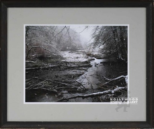 19X23 FRANKEL SNOW RIVER-TREES/BRN