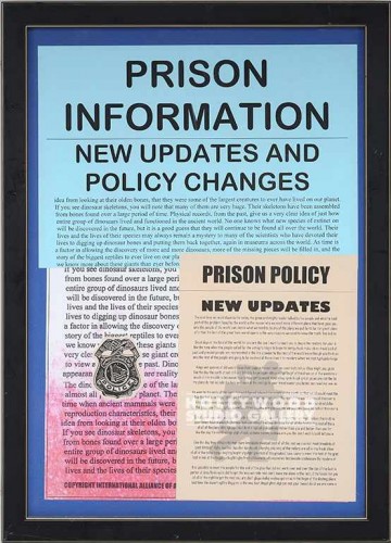 18X13 PRISON RULES &/BLK FRM