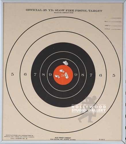 12x11 PISTOL TARGET/SILVER METAL