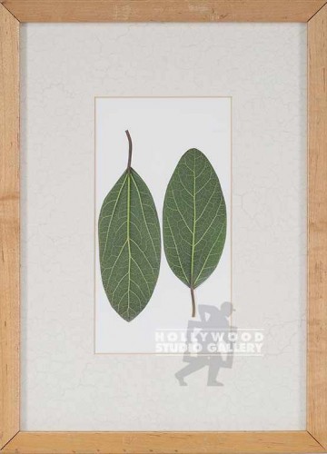 11X15 "TWO LEAVES" BLONDE FRAME