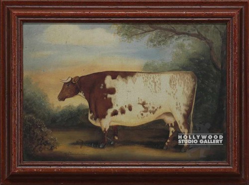 13x18 Americana Cow