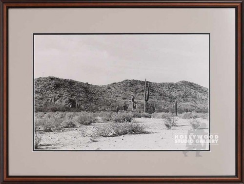 20X24 Fwler B/W Desert Pht/Mat  CIA