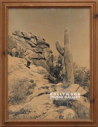 35x27 Fowler/Sepia Desert/Photo CIA