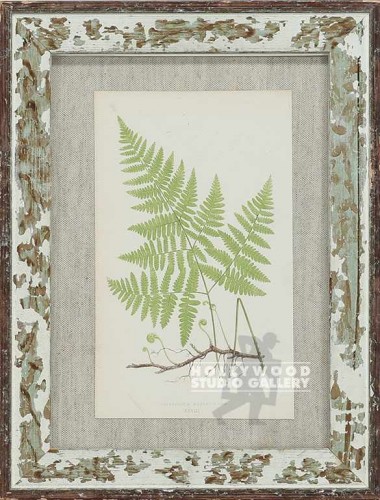 14X11 PANTEEK ANTQ.FERN/WHT.WASH