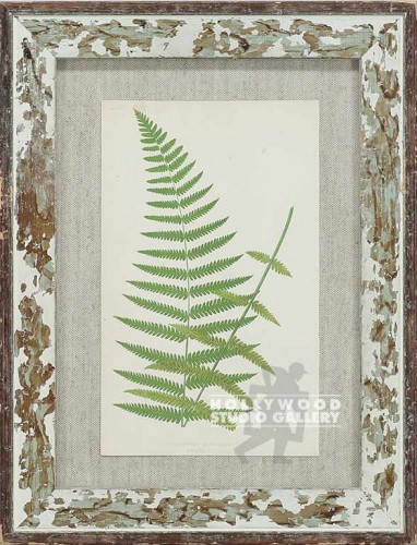 14X11 PANTEEK ANTQ.FERN/WHT.WASH