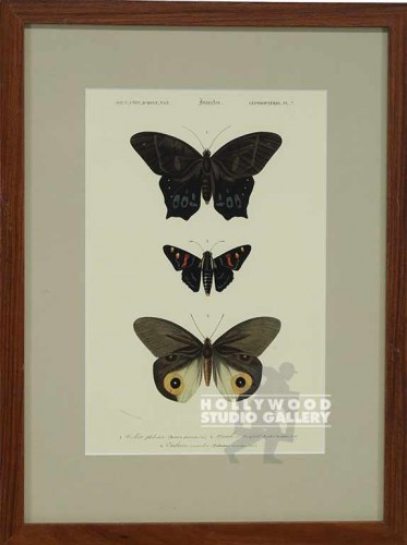 18X14 PANTEEK BUTTERFLIES-DUPE/WOOD