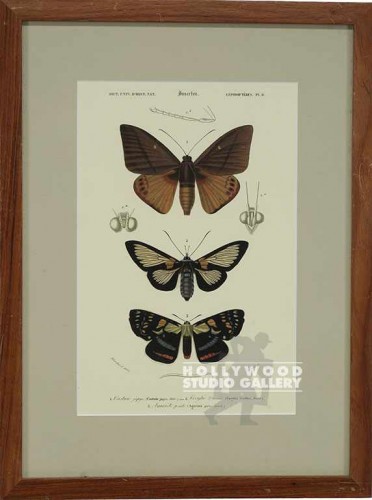18X14 PANTEEK BUTTERFLIES-DUPE/WOOD