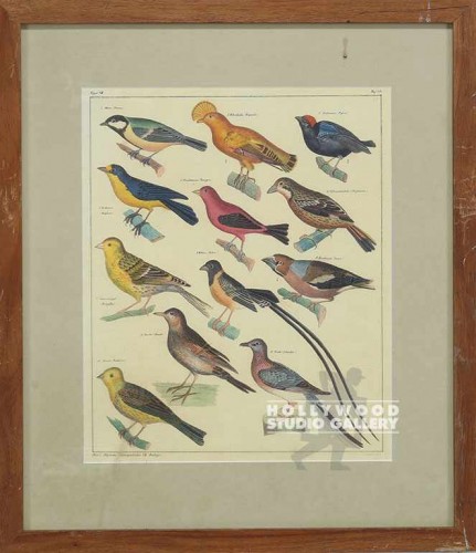 18X16 PANTEEK BIRDS-DUPE/PECAN SQ.