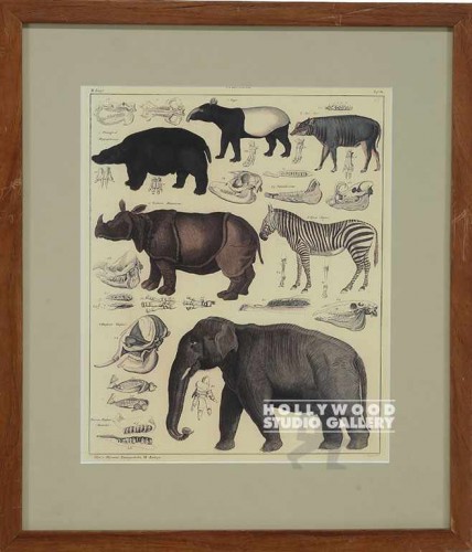 19X16 PANTEEK ZEBRA-ETC-DUPE/PECAN