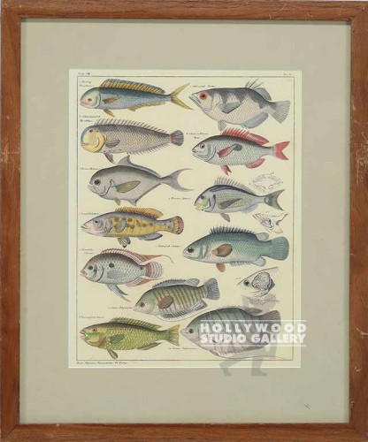 18X15 PANTEEK FISH-DUPE/PECAN SQ.