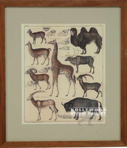 18X16 PANTEEK-GIRAFFE-ELK-DUPE/WOOD