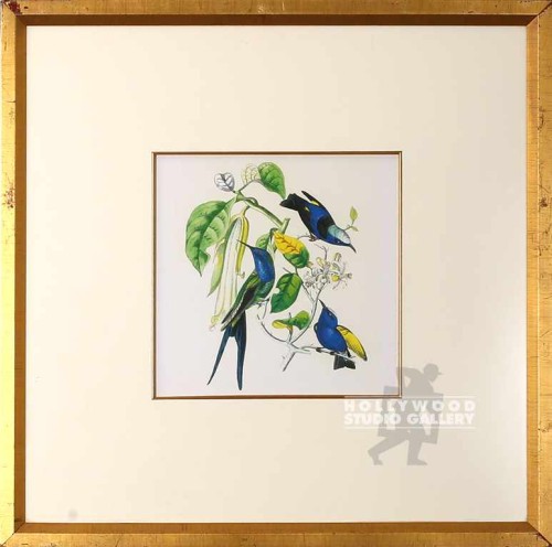 27X27 GI HUMMINGBRDTANICAL GOLD FRM