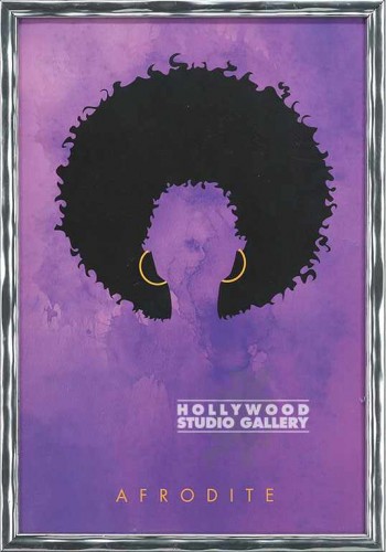 20X14 ARNEL HAIRDO "AFRODITE"/SILVR
