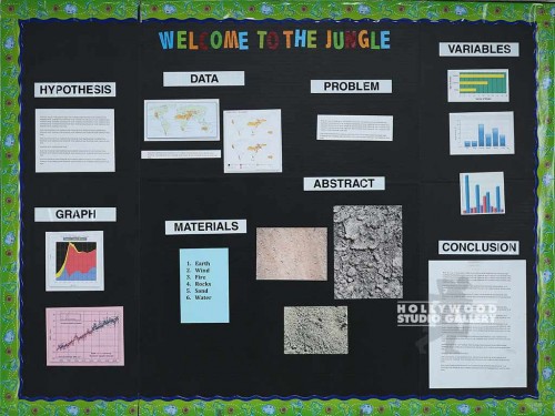 WELCOME TO THE JUNGLE PROJECT