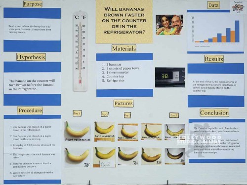 BANANA PROJECT