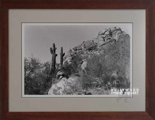 23X30 RF B/W DESERT PHOTO/BRN WD