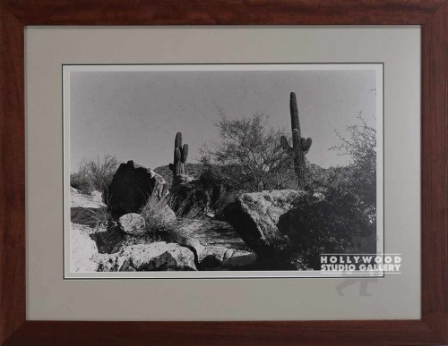 23X30 RF B/W DESERT PHOTO/ BRN WD