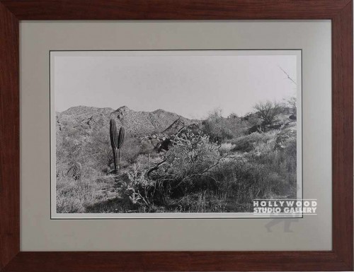 23X30 RF B/W DESERT PHOTO/ BRN WD