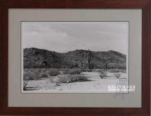 23X30 RF B/W DESERT PHOTO/ BRN WD